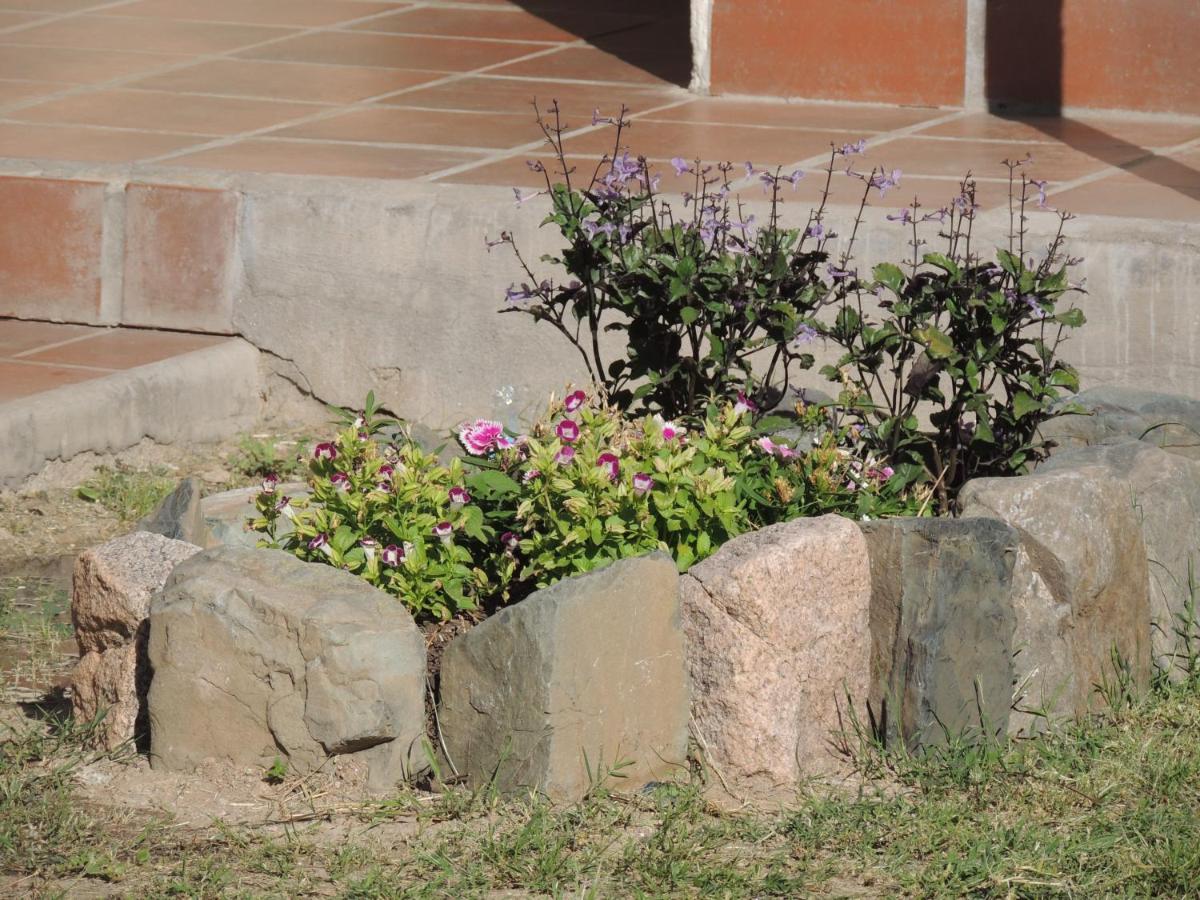 El Rancho De Manolo Hotel Molinos Kültér fotó